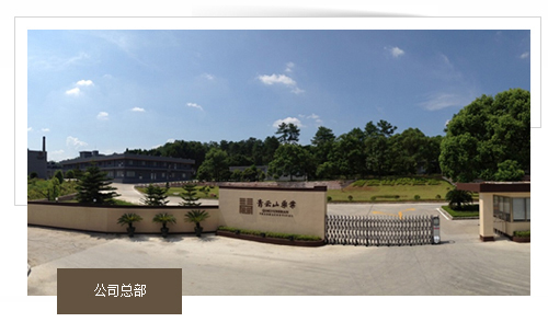 廣東青云山藥業